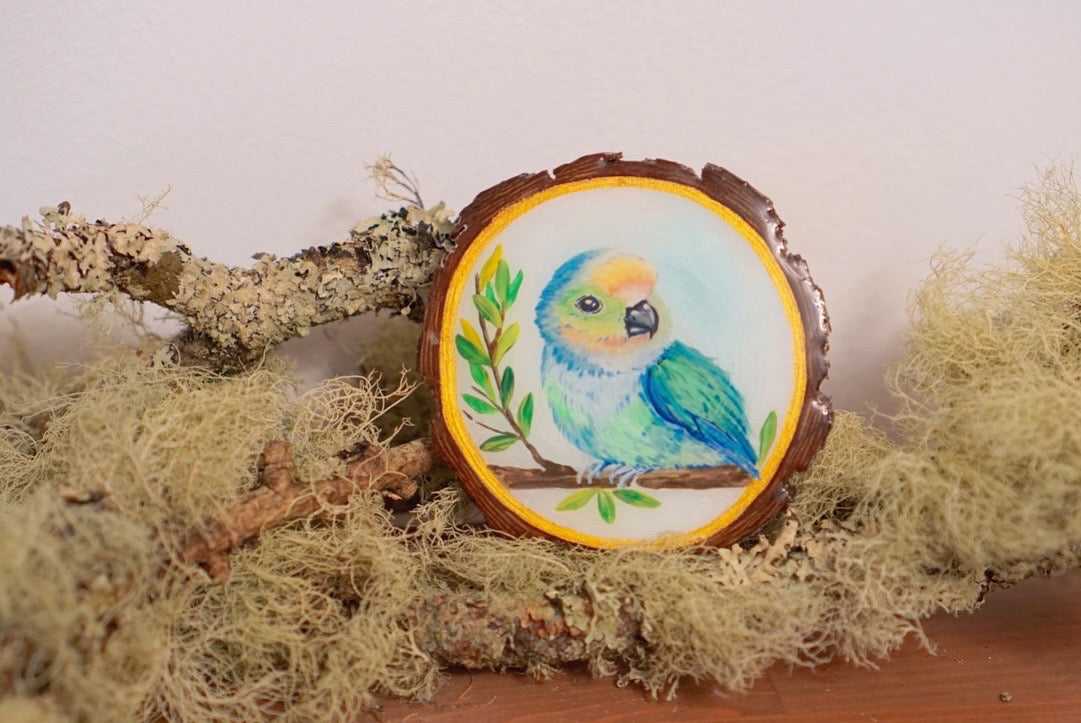 Parakeet Perch