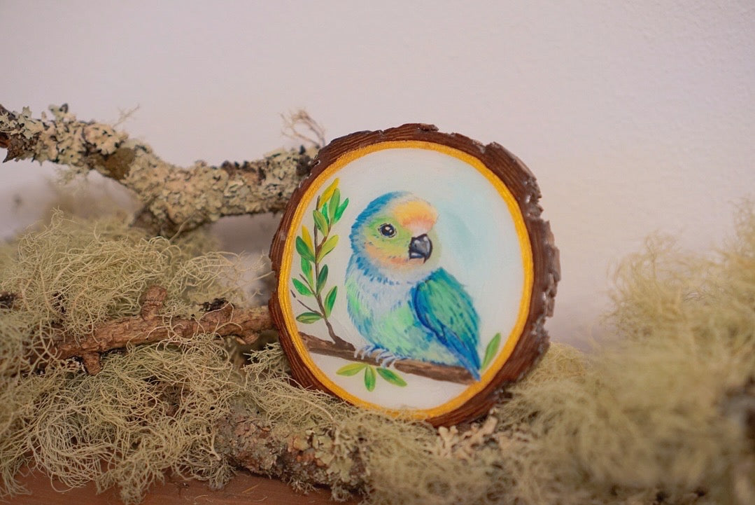 Parakeet Perch